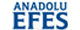 AEFES