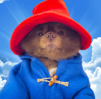 Bertram The Pomeranian logo